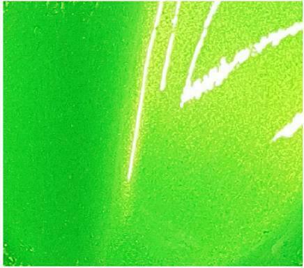 What is Candy Paint?? LiME LiNE Transparent Paint Over Metal Flake